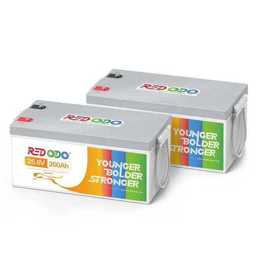 REDODO 24V 200Ah LiFePO4 BATERIJA (5120Wh, 200A BMS)