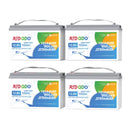 REDODO 12,8V 100Ah LiFePO4 BATERIJA Z NIZKOTEMPERATURNO ZAŠČITO