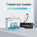 REDODO 12V 20Ah LiFePO4 BATERIJA (256Wh, 20A BMS)